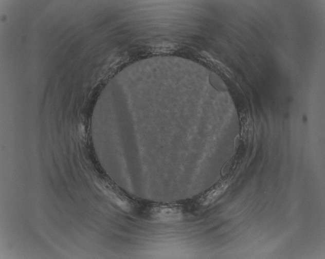 X0000077350655200611031822