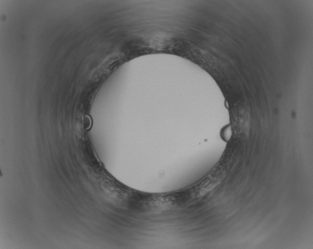 X0000077350656200611031822