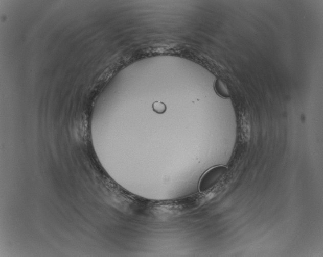 X0000077350657200611031822