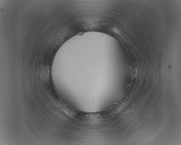 X0000077350660200611031822