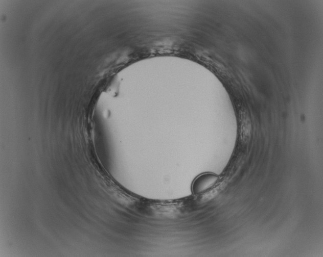 X0000077350661200611031822