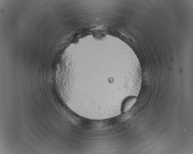 X0000077350662200611031822