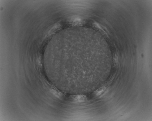 X0000077350663200611031822