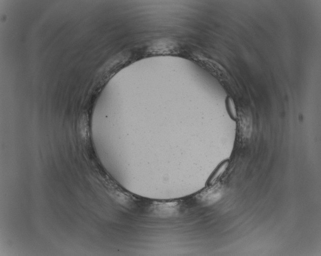 X0000077350665200611031822