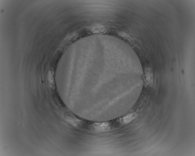 X0000077350667200611031822