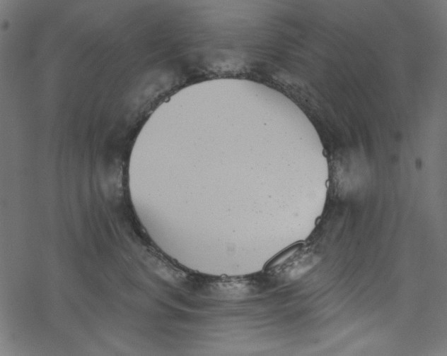 X0000077350668200611031822