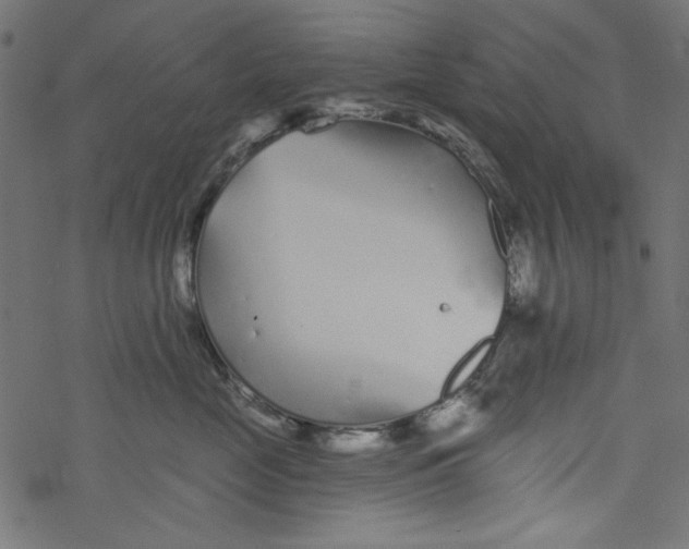 X0000077350669200611031822