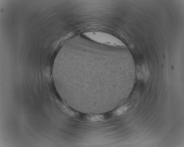 X0000077350670200611031822