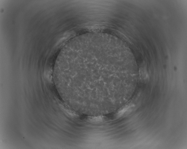 X0000077350671200611031822