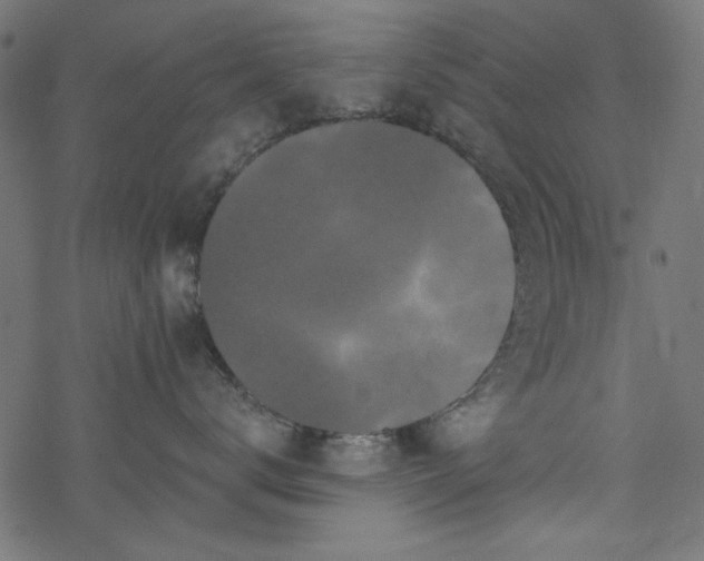 X0000077350672200611031823