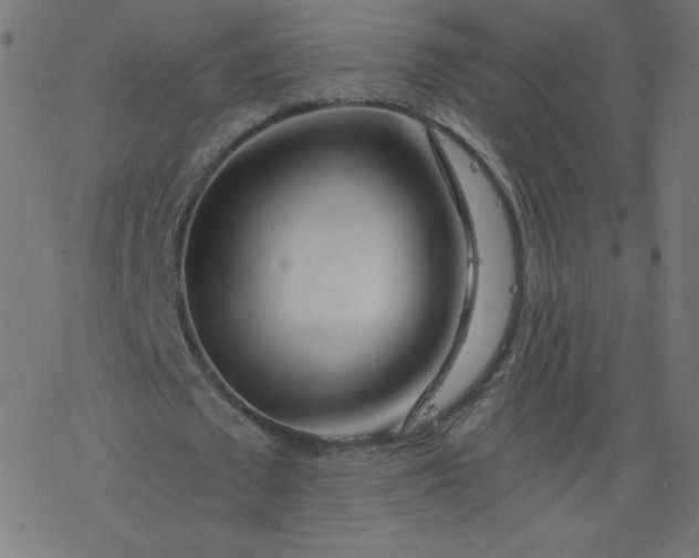 X0000077350673200611031822