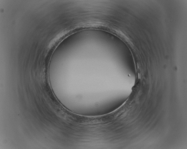 X0000077350675200611031822