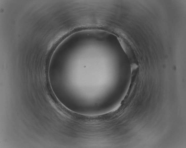 X0000077350677200611031822