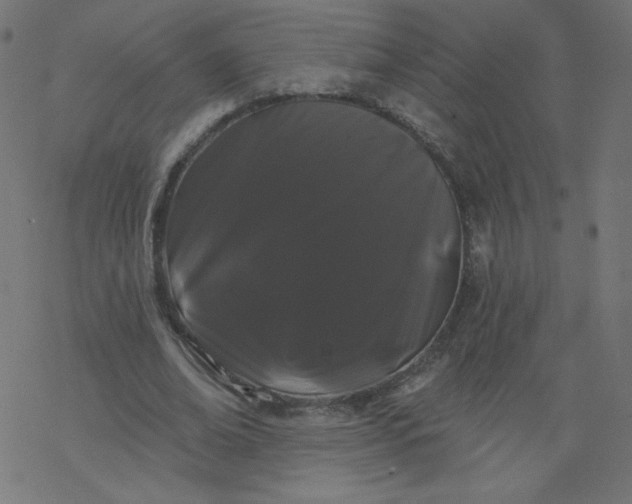 X0000077350678200611031822