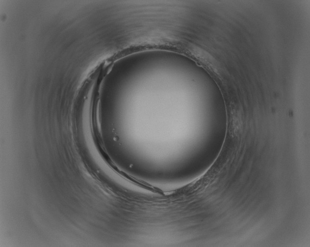 X0000077350680200611031822