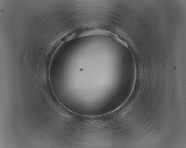 X0000077350681200611031822