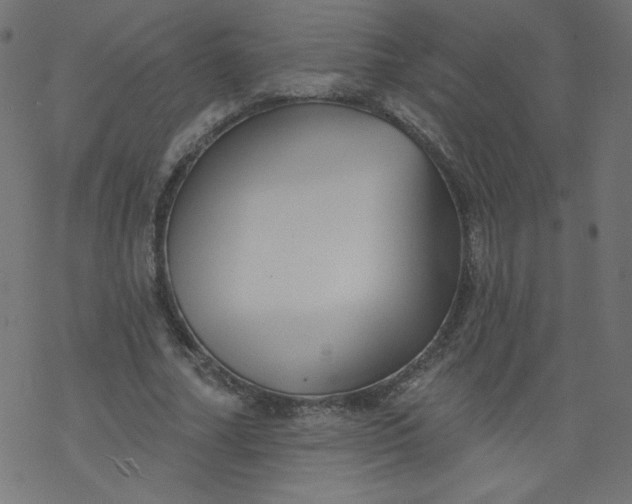 X0000077350682200611031822