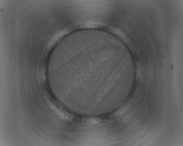 X0000077350683200611031822