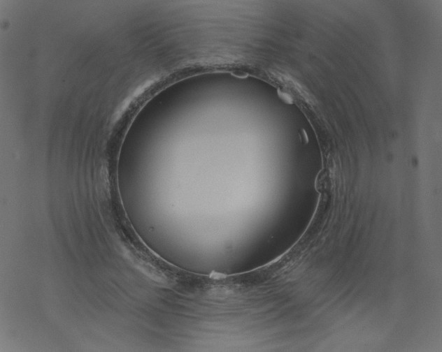 X0000077350684200611031822