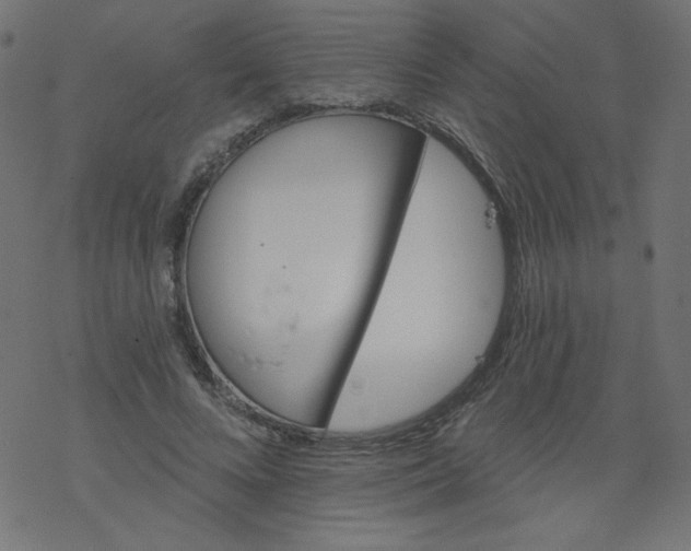 X0000077350688200611031821