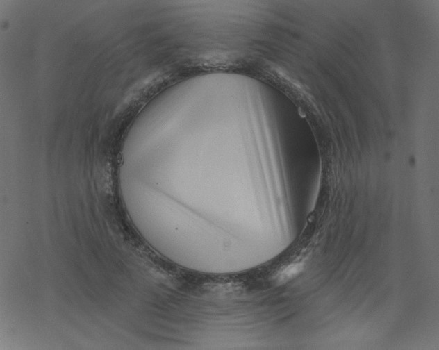 X0000077350689200611031821