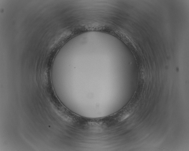 X0000077350690200611031821