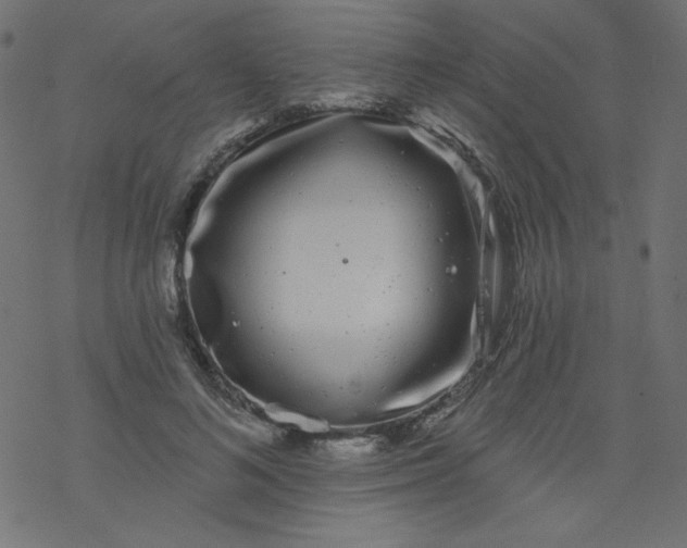 X0000077350692200611031821