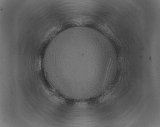 X0000077350694200611031821