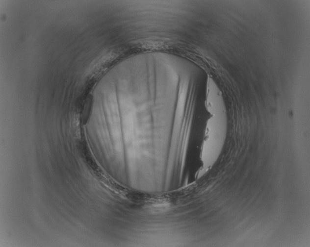 X0000077350696200611031821