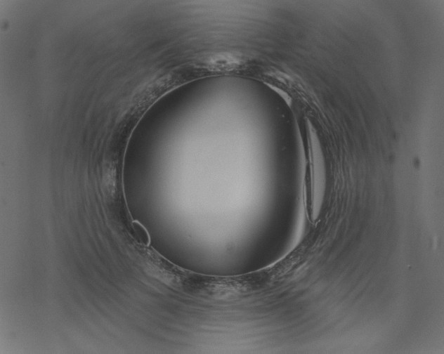 X0000077350697200611031821