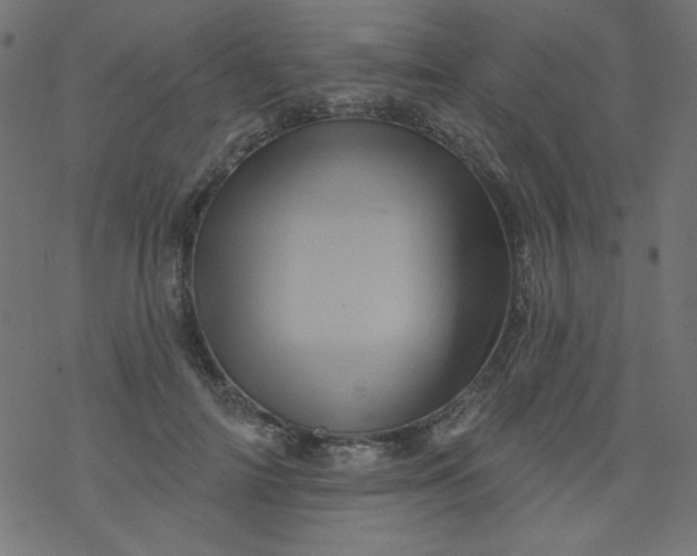 X0000077350698200611031821