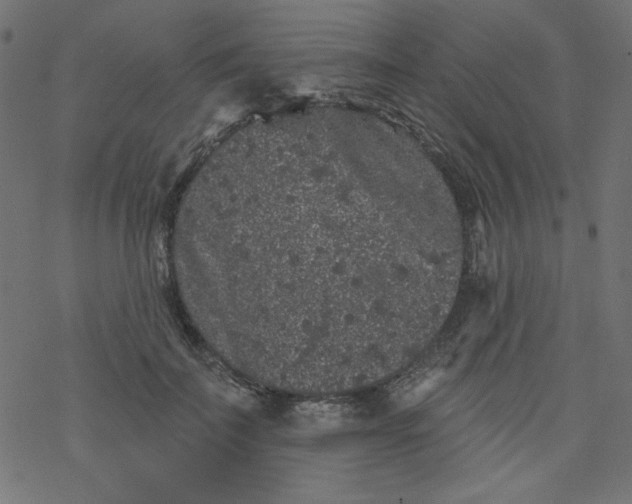 X0000077350699200611031821