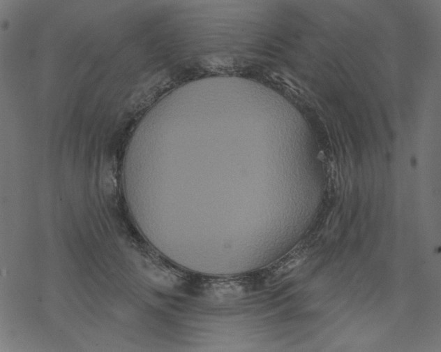 X0000077350702200611031821