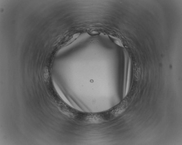 X0000077350704200611031821