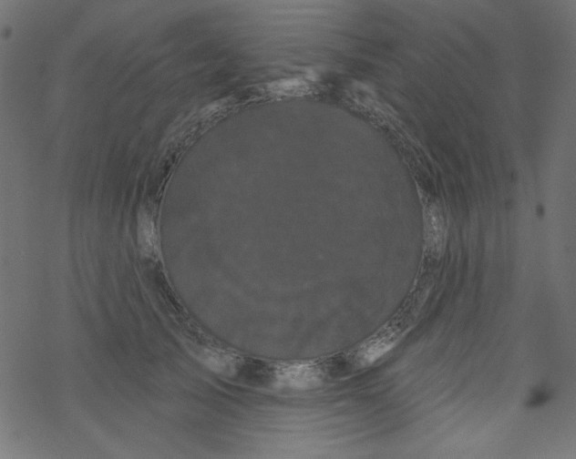 X0000077350705200611031821