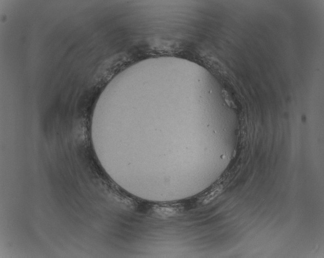 X0000077350706200611031821