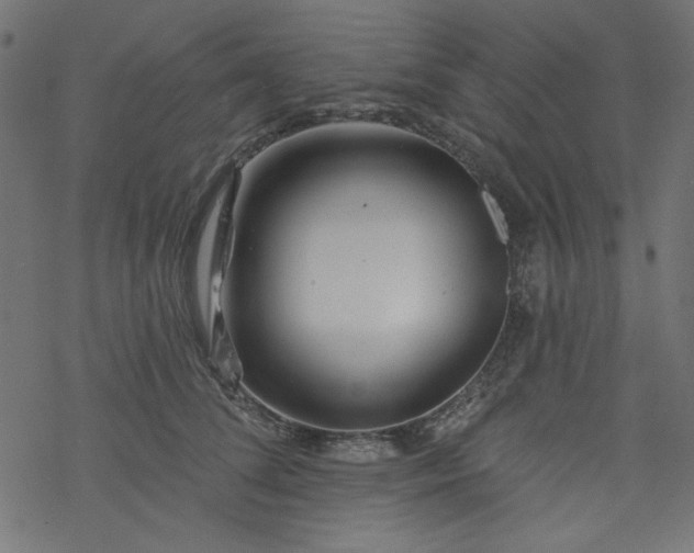 X0000077350708200611031821