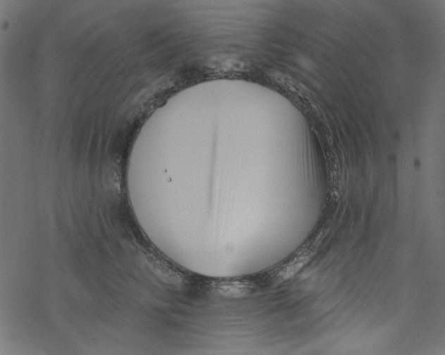 X0000077350710200611031821