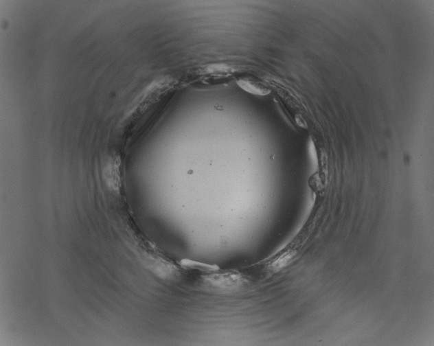 X0000077350712200611031821