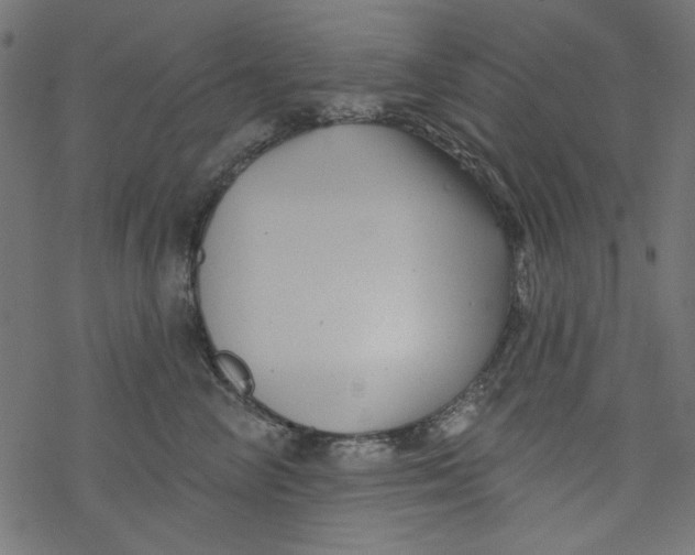 X0000077350714200611031821