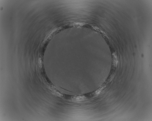 X0000077350716200611031821