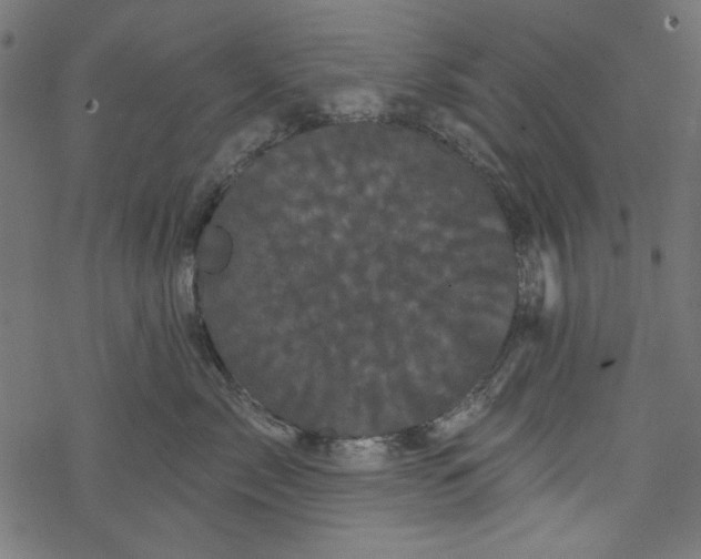 X0000077350717200611031821