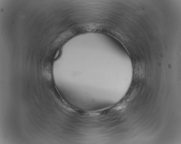 X0000077350719200611031821