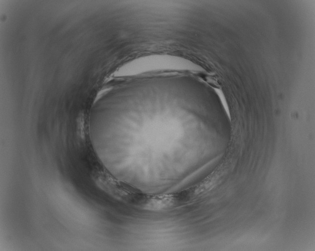 X0000077350720200611031821