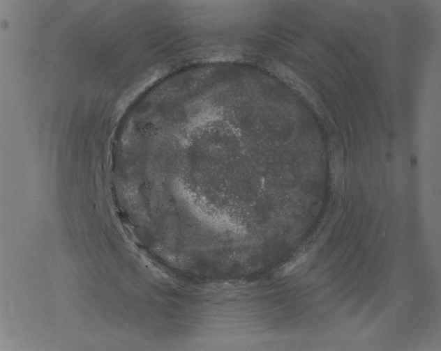 X0000077350721200611031820