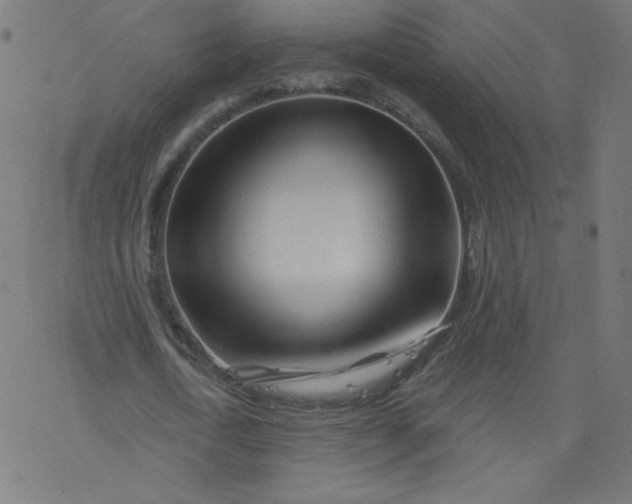 X0000077350722200611031820