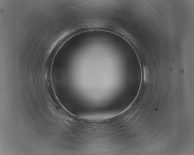 X0000077350723200611031820