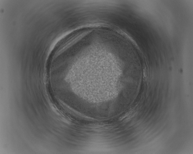 X0000077350724200611031820