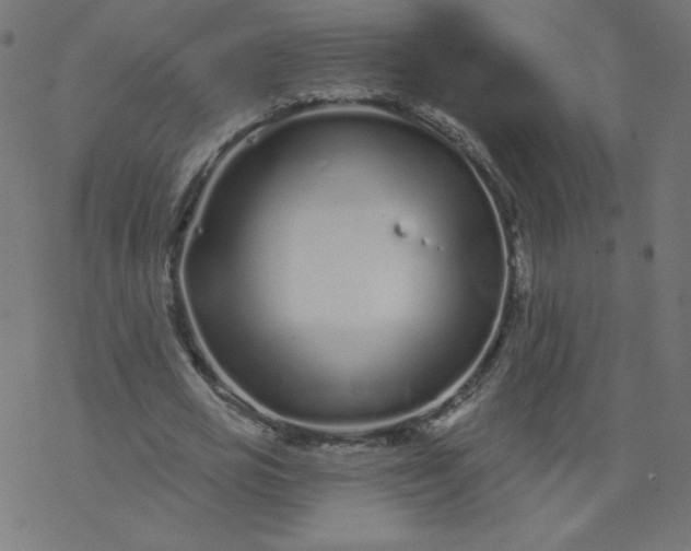 X0000077350725200611031820