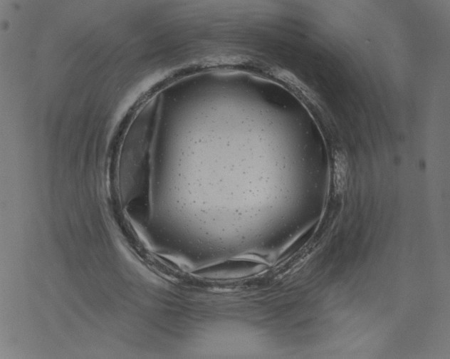 X0000077350726200611031820